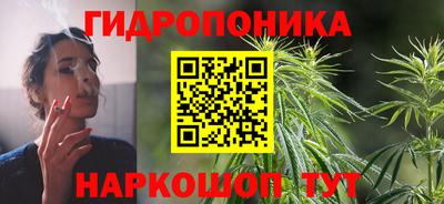герыч Новодвинск