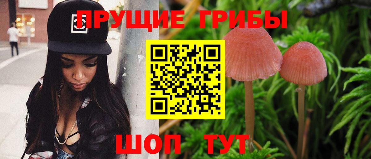Галлюциногенные грибы прущие грибы Жигулёвск
